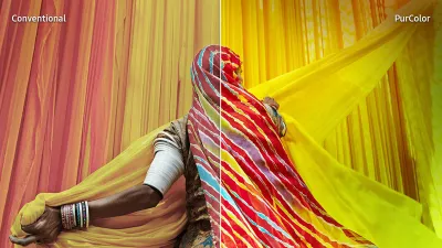 PurColor